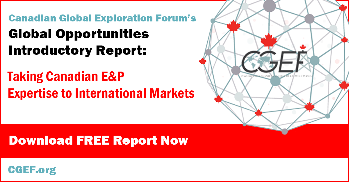 CGEF Global Opportunities: Introductory Report