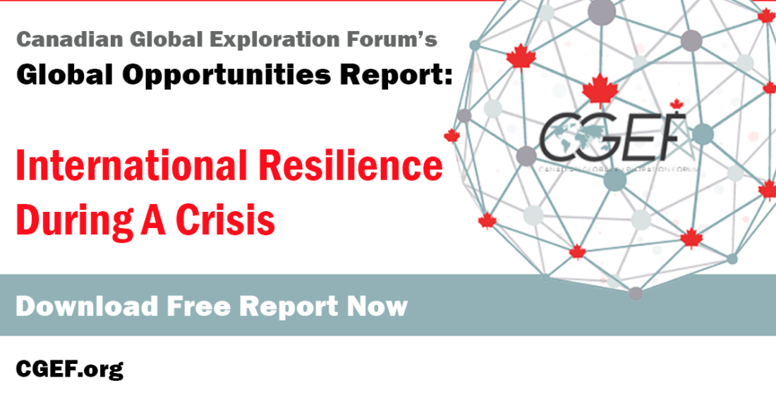 The Global Opportunities: International Resilience During A Crisis